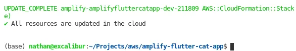 Amplify successful push