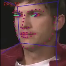 ICface action point visual example