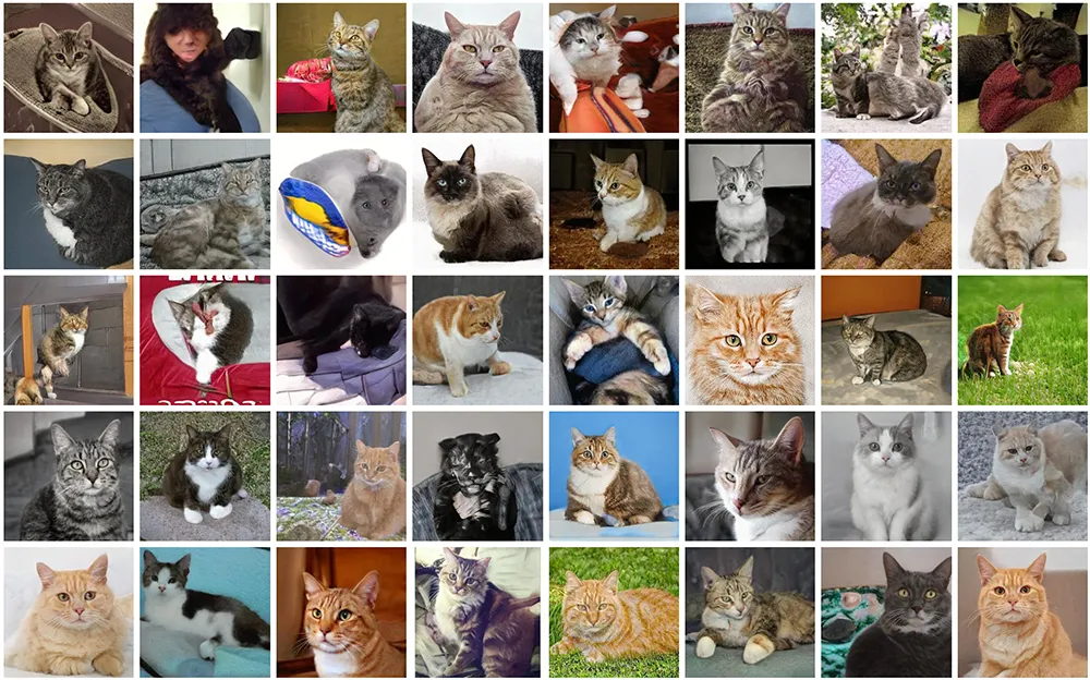 These Cats Do Not Exist Sample