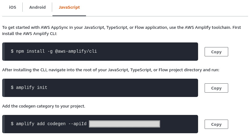 AppSync Amplify setup example