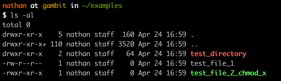 ls coloured output