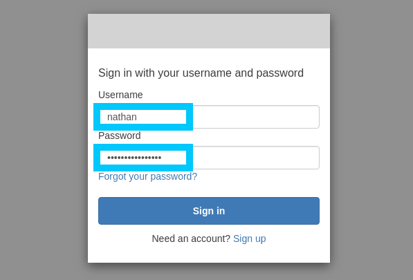Cognito Login using new user
